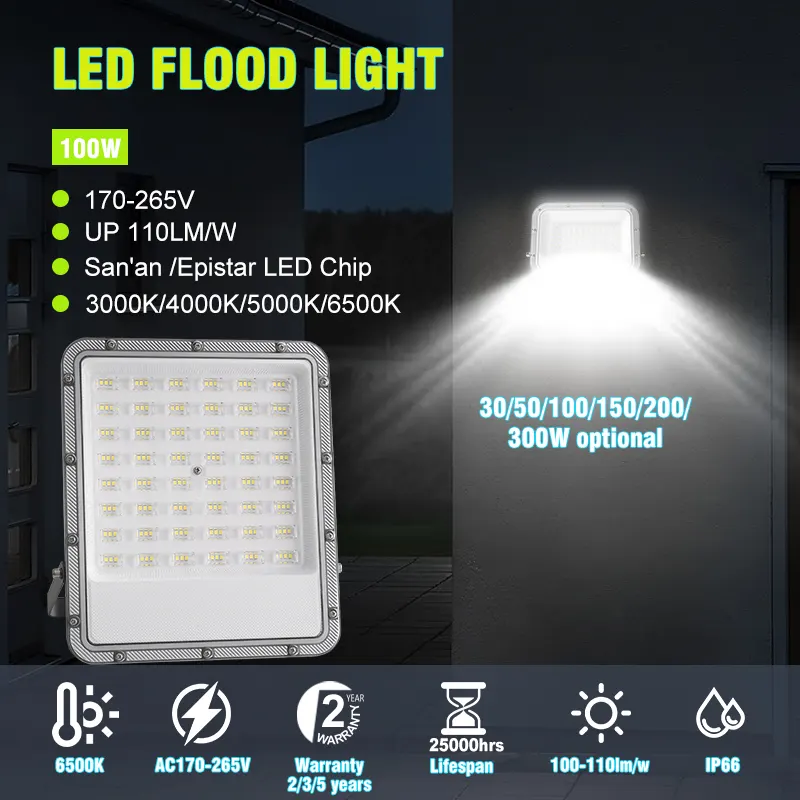 Aluminum LED Floodlight 200/300W IP66