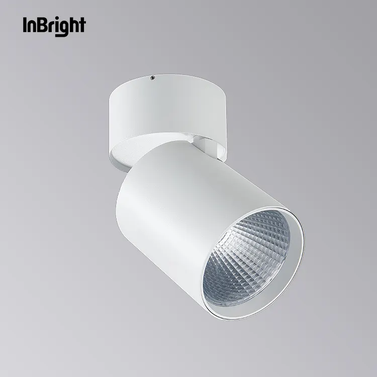 Adjustable Dimmable Surface-Mounted LED Downlight 15/25W