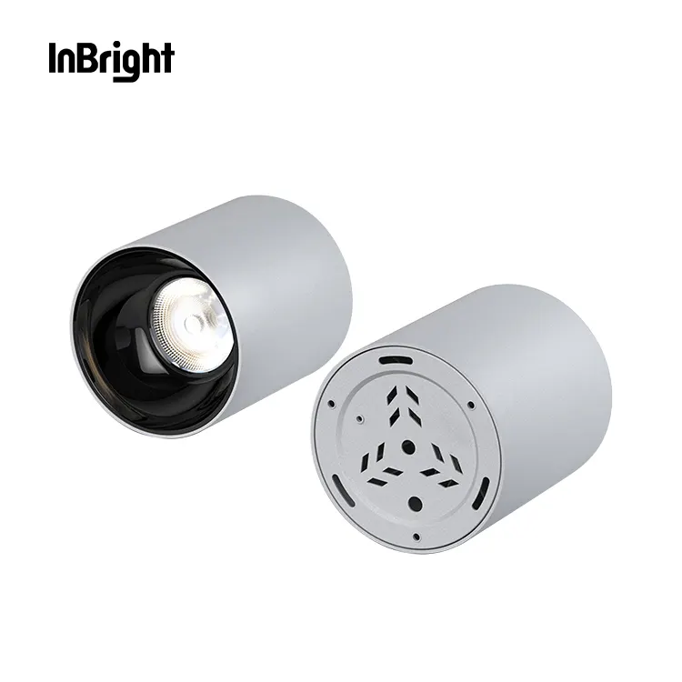 Dimmable Surface-Mounted Aluminum LED Downlight 10-50W IP65