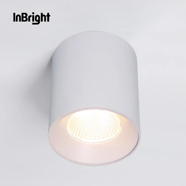 Anti-Glare Dimmable DALI Surface-Mounted COB LED Downlight Black/White 10-60W