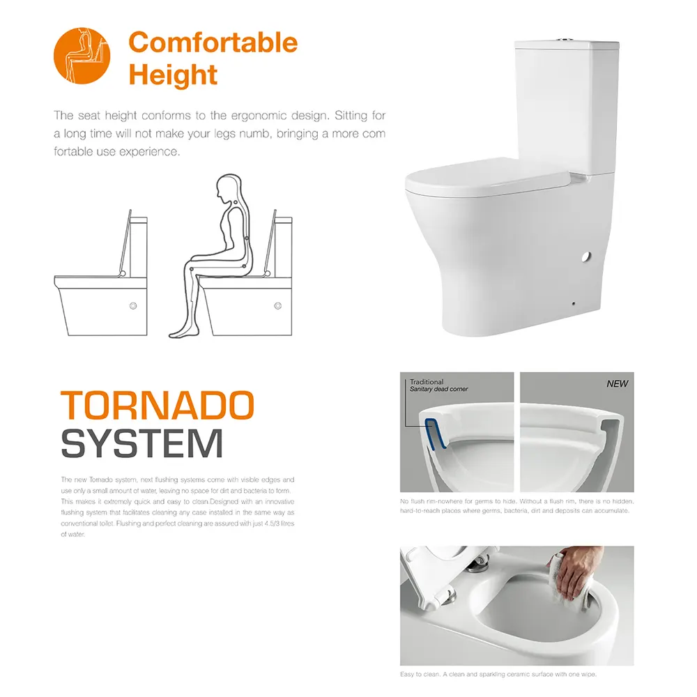 Dual-Flush Two-Piece Ceramic Toilet