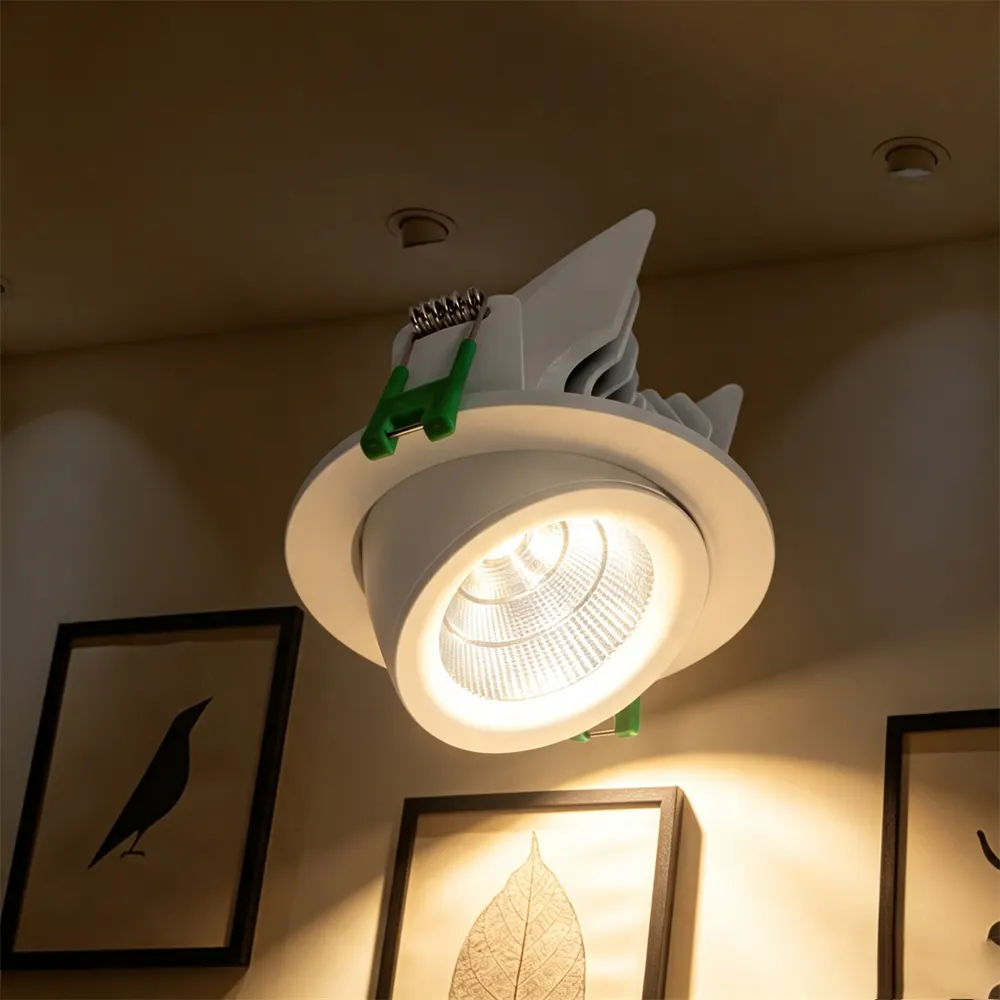 Adjustable Recessed Aluminum LED Downlight