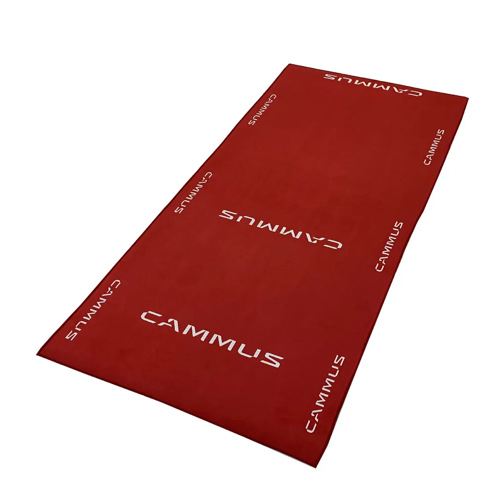 Cut-Pile White Polyester Entrance Door Mat 40x60cm With PVC Backing