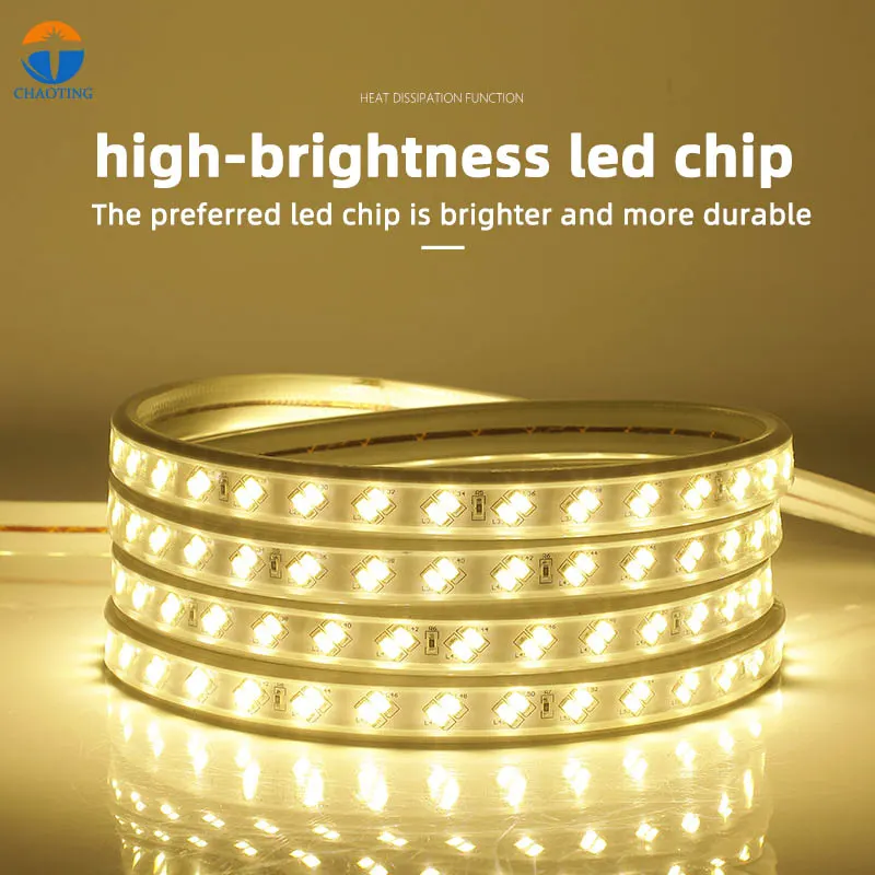 RGB LED Strip Light 110V/220V IP65 3014 2700-3500K