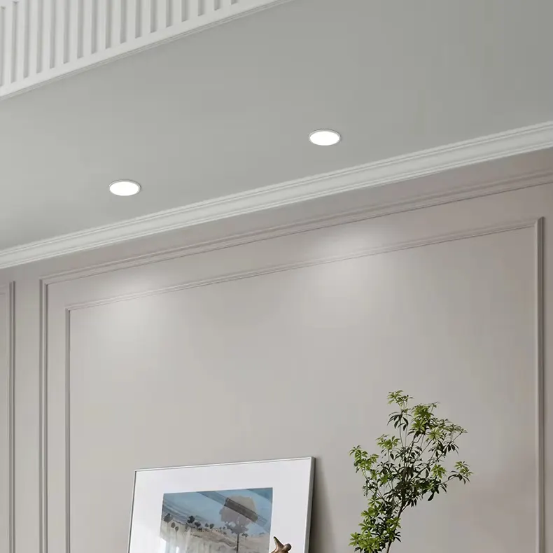Surface-Mounted Aluminum LED Downlight 7-36W