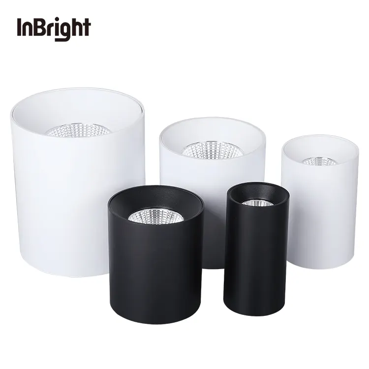Dimmable Surface-Mounted Aluminum COB LED Downlight 10-60W