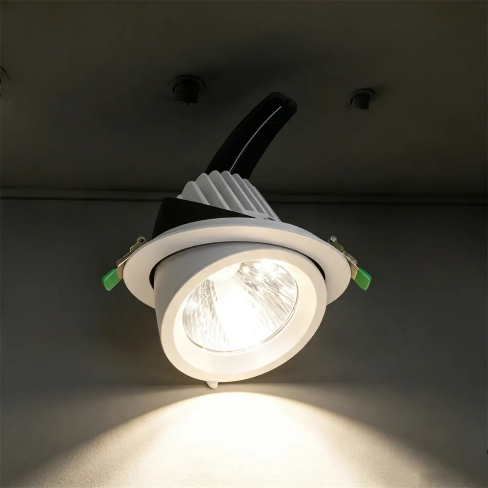 Adjustable Recessed Aluminum LED Downlight