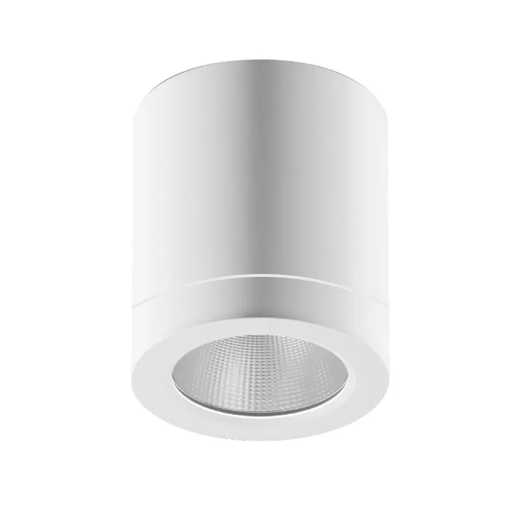 Surface-Mounted Round Aluminum COB LED Downlight 12/20W/15-30W