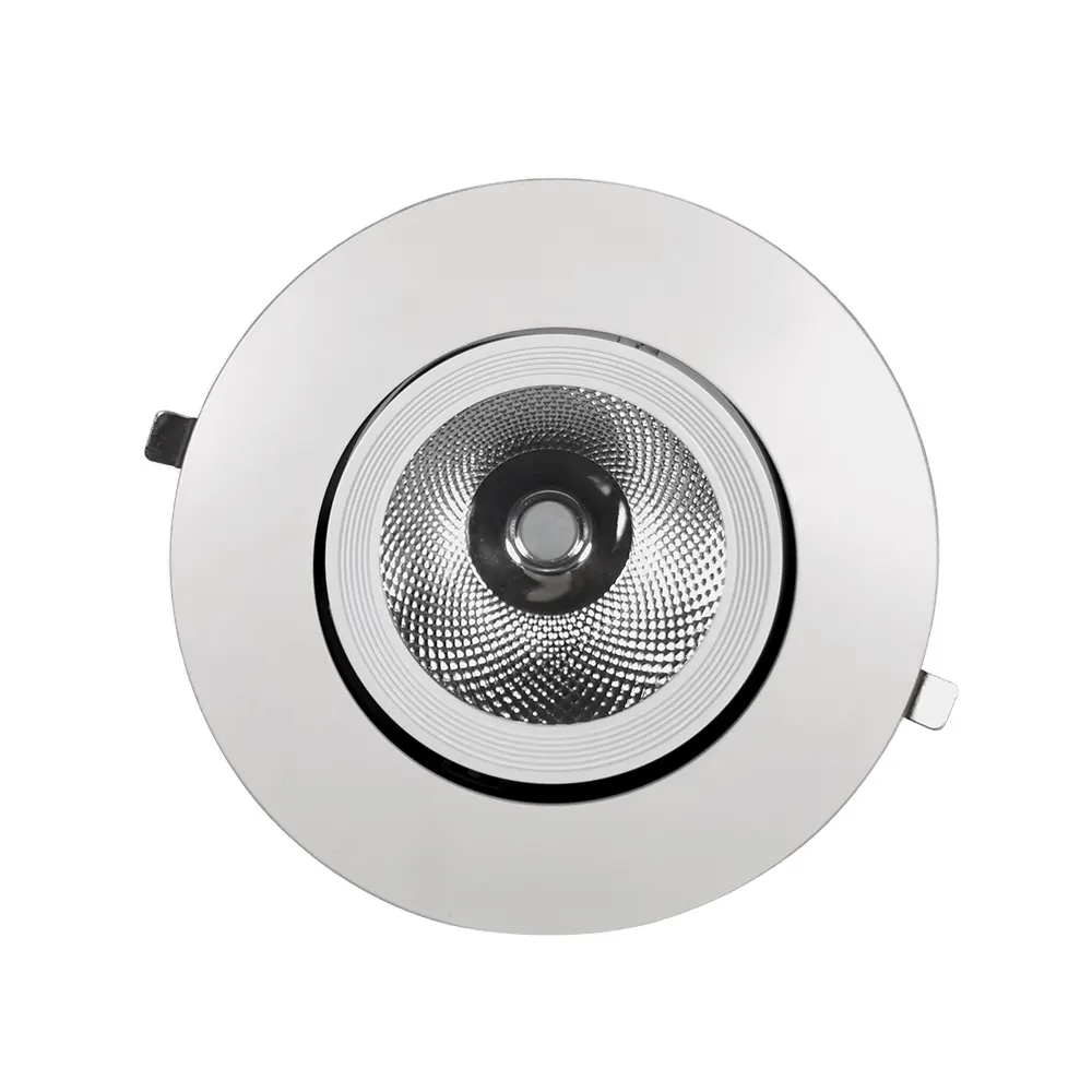 Recessed Aluminum COB LED Downlight 30/40W