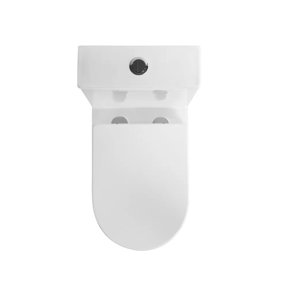 Dual-Flush Two-Piece Ceramic Toilet