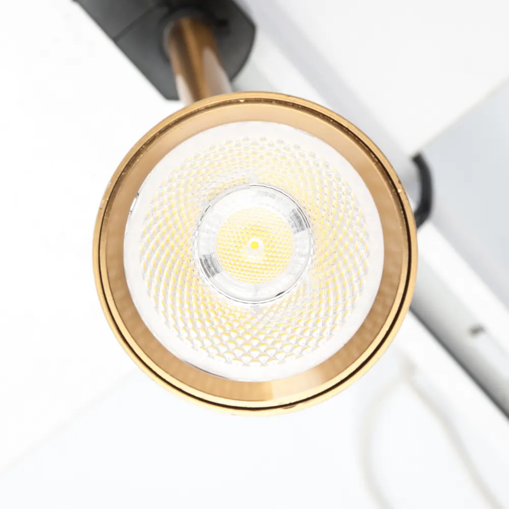 Adjustable Dimmable Aluminum LED Track Spotlight Gold 8-30W 220V