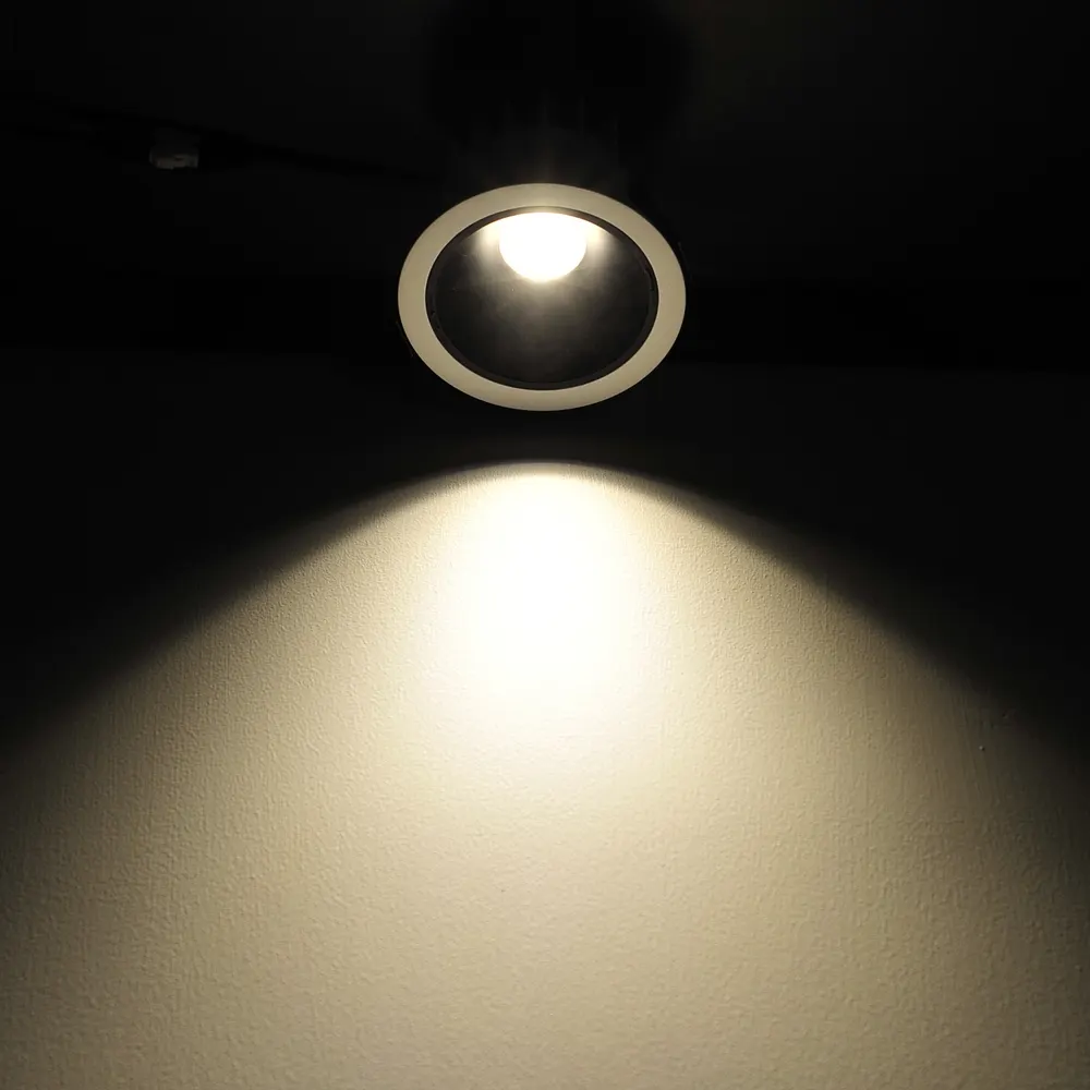 Dimmable COB LED Downlight 10-40W IP44/IP65
