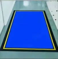 Adhesive Dust-Removal Floor Mat With Rubber Backing