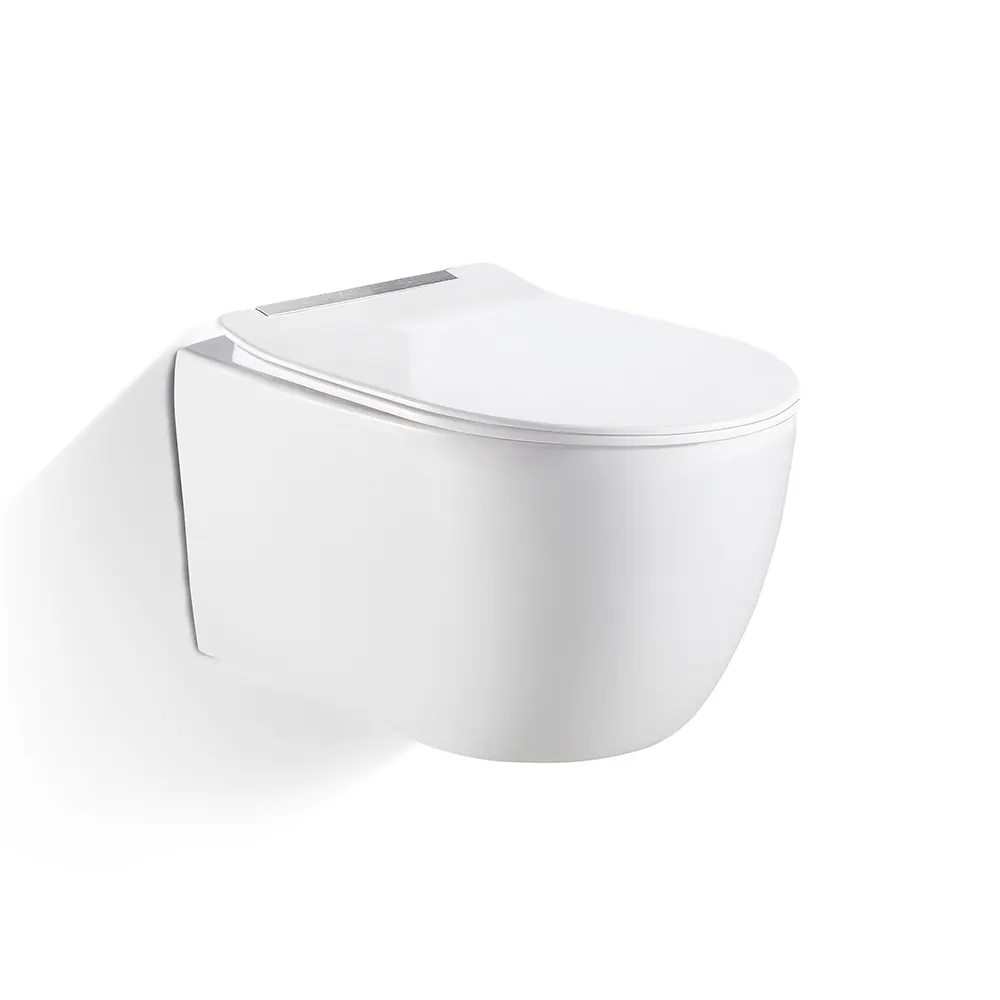 Dual-Flush Two-Piece Ceramic Toilet
