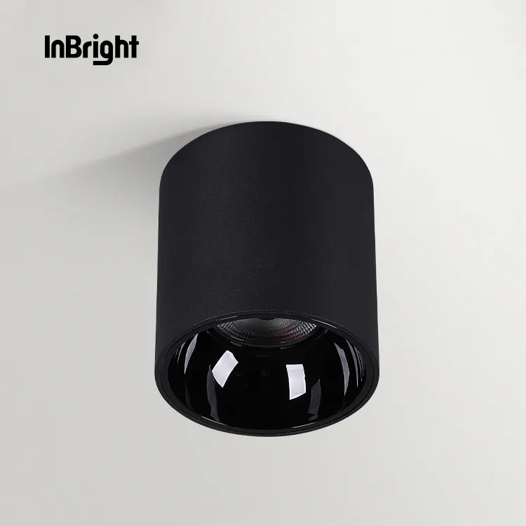Waterproof COB LED Downlight 10-50W IP65