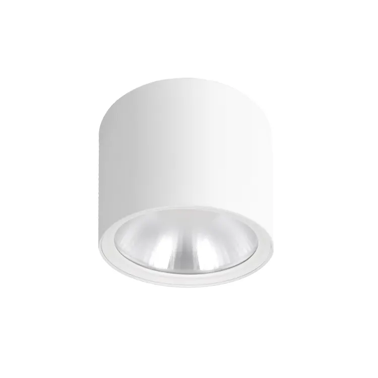 Surface-Mounted Aluminum LED Downlight 15-50W