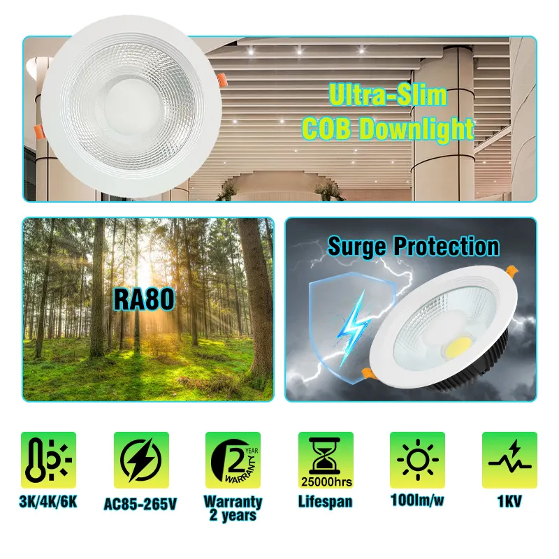 Recessed Round Aluminum LED Downlight 9-30W 6500K