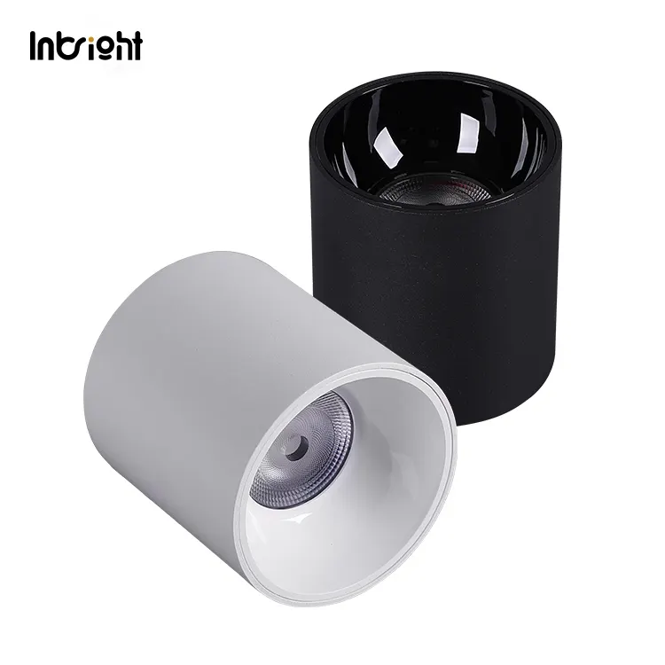 Surface-Mounted Aluminum LED Downlight 10-50W IP65